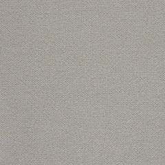 Swatch image for Tonus 4 240