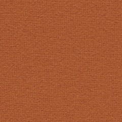 Swatch image for Tonus 4 554