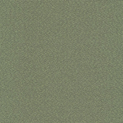 Swatch image for De Ploeg Twinwool 50