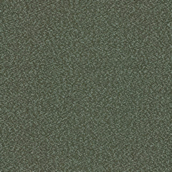Swatch image for De Ploeg Twinwool 51