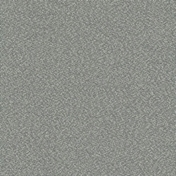 Swatch image for De Ploeg Twinwool 81
