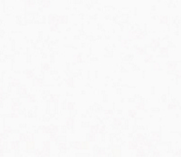Swatch image for P04 white ral 9010