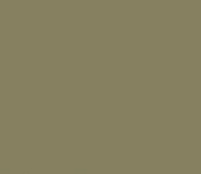 Swatch image for P30 olive gray ral 7002