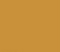 Swatch image for P34 honey yellow ral 1005