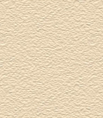 Swatch image for P79 light ivory ral 1015