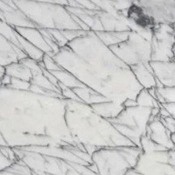 Swatch image for Natural Carrara statuarietto polished