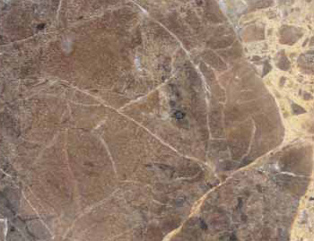 Natural emporador dark matte Swatch image for Natural emporador dark matte