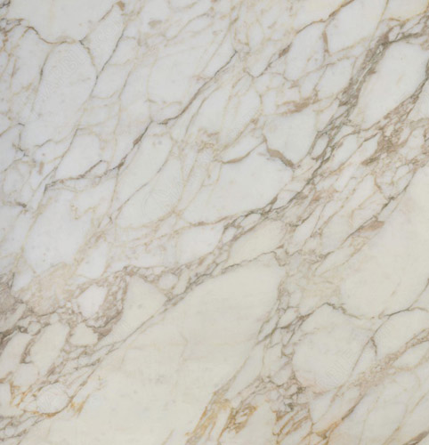 Coated Calacatta oro marble glossy Swatch image for Coated Calacatta oro marble glossy