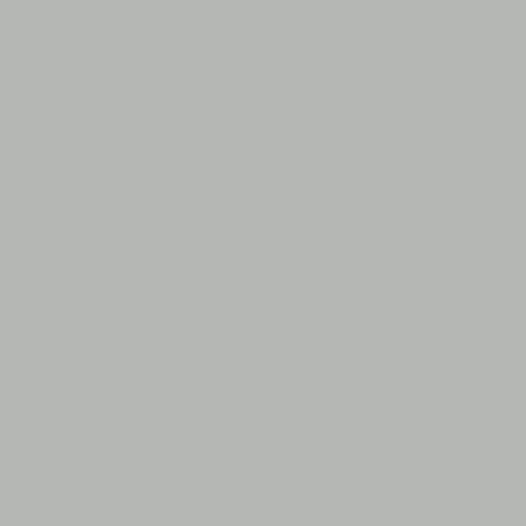 Swatch image for Ral 7035 light gray