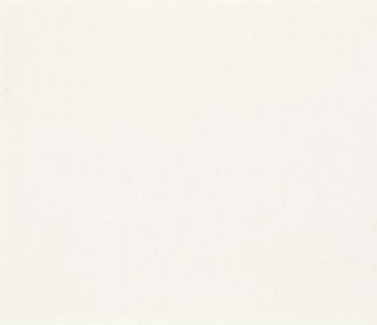 Swatch image for Ral 9010 white