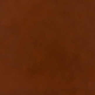 Swatch image for 51 Honey