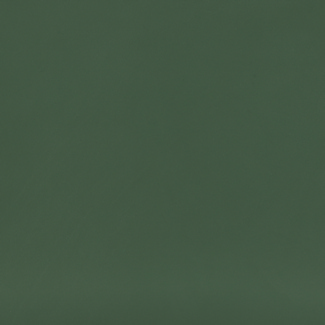 Swatch image for 31 Sage Green 