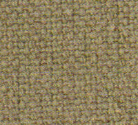 Swatch image for T7vh cotton club olive green