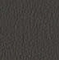 Swatch image for Secret E0A6 anthracite