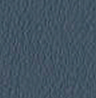 Swatch image for Secret E0AM air force blue