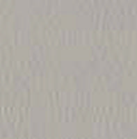 Swatch image for Secret E0GS ash gray