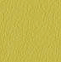 Swatch image for Secret E0LB lime