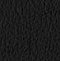 Swatch image for Secret E0N4 black