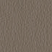 Swatch image for Secret E0TR turtle dove