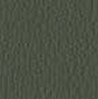 Swatch image for Secret E0VJ pine green