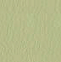 Swatch image for Secret EOVI pastel green