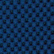 Swatch image for Network tnbb blue