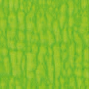 Swatch image for Jumper tjz4 neon green