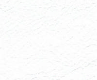 Swatch image for P0B4 white