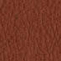 Swatch image for P0BR brown