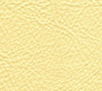 Swatch image for P0V2 vanilla