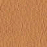 Swatch image for Pona hazel