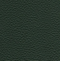 Swatch image for Pove green