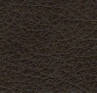 Swatch image for P2gr gray