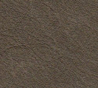 Swatch image for P2gs ash gray