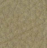 Swatch image for P2s2 sand