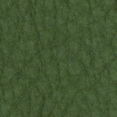 Swatch image for P2vh olive green