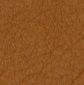 Swatch image for Psna hazel