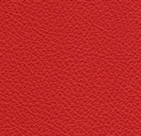 Swatch image for Er red