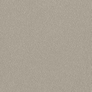 Swatch image for Es ash gray