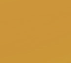 Swatch image for C2o2 ocra