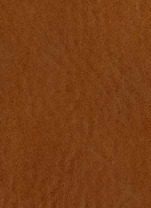 Swatch image for C3cu tuscan hide