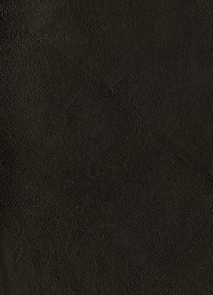 Swatch image for C3n5 black hide